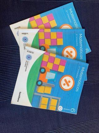 Libros 6 de primaria