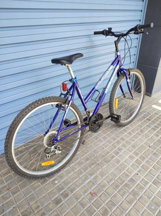 Bicicleta Globe Trotter 26 Pulgadas 18 Velocidad