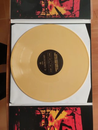 King gizzard Sydney 2023 Amarillo