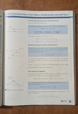 Matemàtiques, 2 Batxillerat,  Emmy Noether