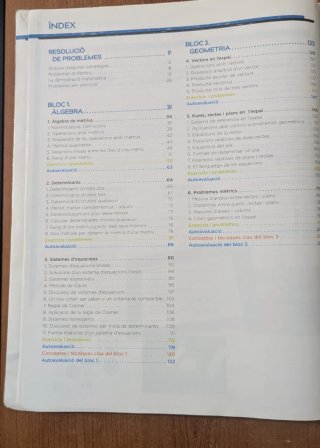 Matemàtiques, 2 Batxillerat,  Emmy Noether