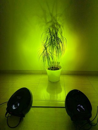 Iluminación Eurolite TC-300