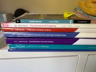 Lote libros 1 bachillerato Social  Santo Angel