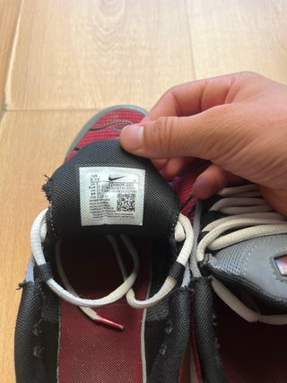Nike Air Max Plus grises y rojas