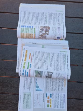 Geografía e Historia, 4 ESO, Comunidad en red