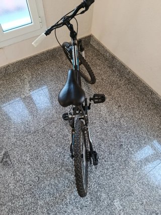 Bicicleta Infantil 20