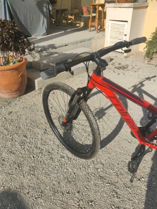 Bicicleta Montaña