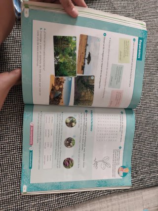 Ciencias de la naturaleza 3 primaria SM