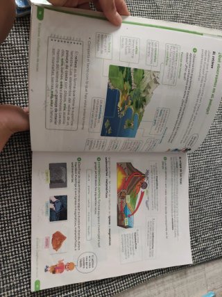 Ciencias de la naturaleza 3 primaria SM
