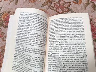 La società dei gatti assassini