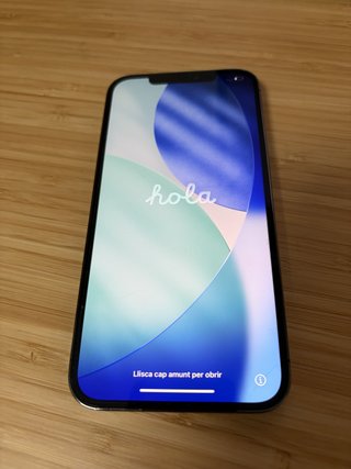 iPhone 12 Pro Max Gris 256GB