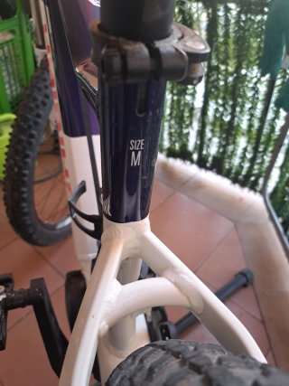Bicicleta eléctrica Haibike HardNine 5.0