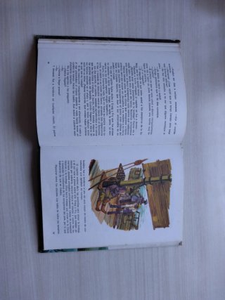 Libro las tribulaciones de un chino en China