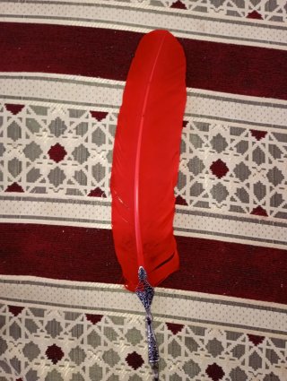 Pluma estilográfica y bolígrafo
