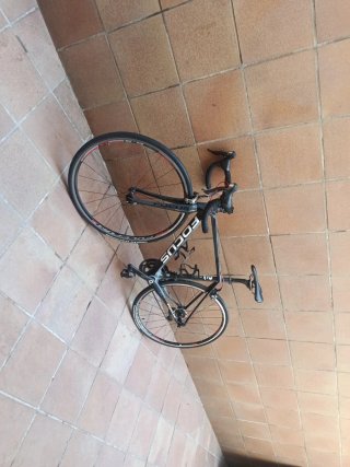 Bicicleta carretera Focus Talla S