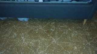 Cama tapizada gris