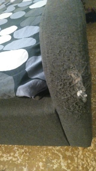 Cama tapizada gris