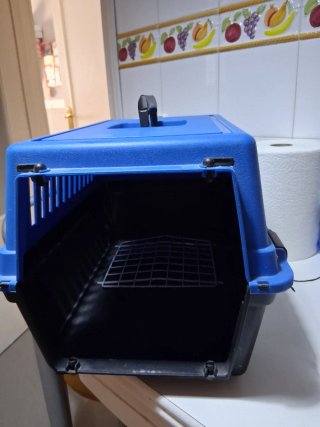 Caja transporte para gato