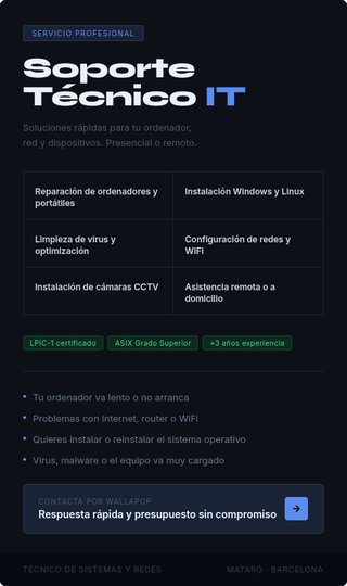Técnico informático