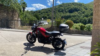 Benelli Leoncino 500