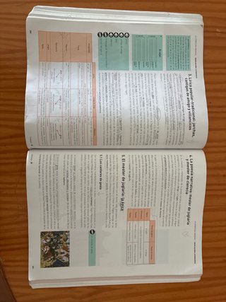 Lengua castellana y literatura 1, Le Bachillerato