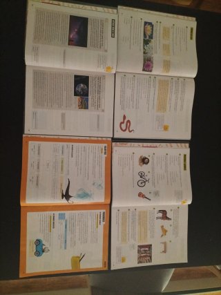 Lengua Castellana y Literatura 4, Segundo Ciclo...