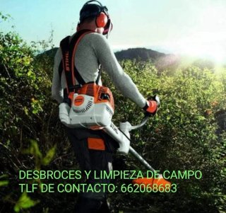 Desbrozadora STIHL a disposición