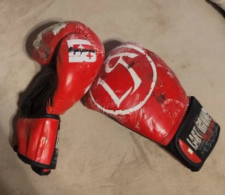 Guantes Leone Sparring MMA Negros y Plateados