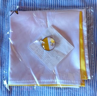 Pañuelo y broche Vaticano