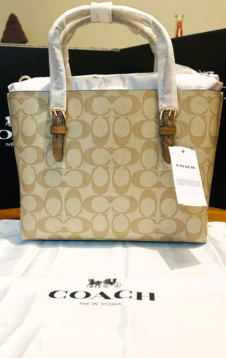 Bolso Coach Mollie Tote 25 Lona Firma