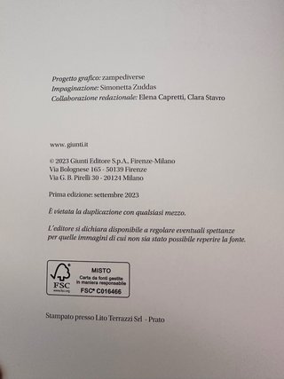 Vermeer la pittura olandese del Secolo d'oro