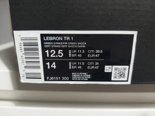 Nike Lebron TR1 Verde y Negro