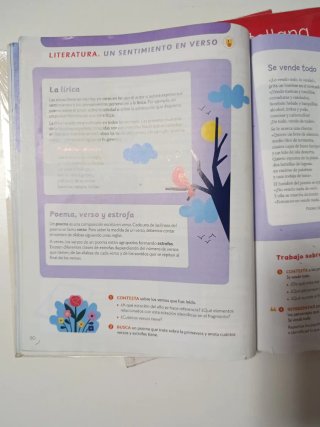Lengua castellana, 5 Primaria