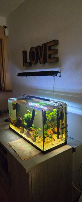 Vendo pecera 100l