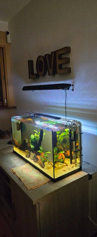 Vendo pecera 100l