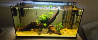 Vendo pecera 100l