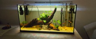 Vendo pecera 100l
