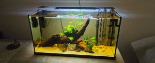 Vendo pecera 100l