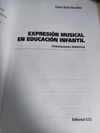 Expresión musical en Educación Infantil