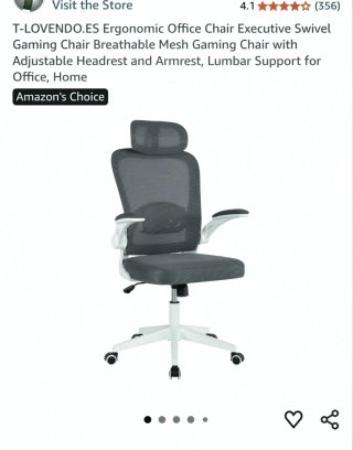 Silla de Oficina Ergonómica Gris y Blanca Mesh