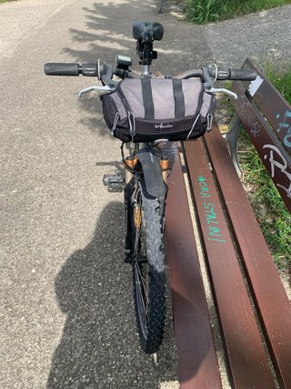 Bicicleta de montaña plateada