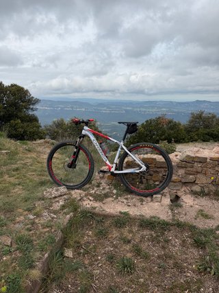 Orbea Alma 29” Aluminio MTB - Muy buen estado