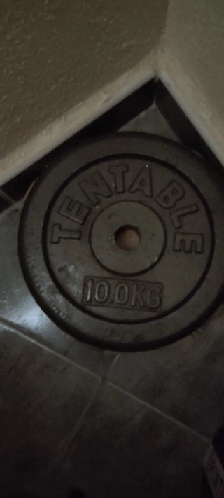 Lote de dos pesas de 10 kg cada uno