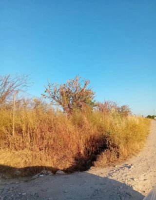 OFERTON UTRERA  1060m² CON AGUA Y LUZ APROXIMADA