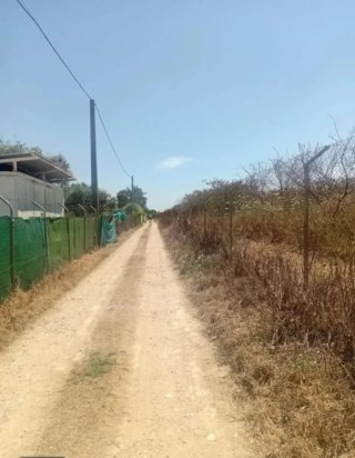 OFERTON UTRERA  1060m² CON AGUA Y LUZ APROXIMADA