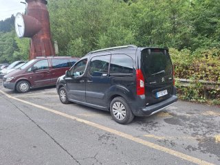 Citroen Berlingo 2010