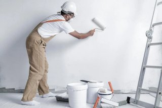 PINTOR PROFESIONAL - Calidad y Seriedad