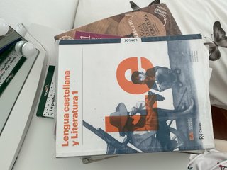 Lengua castellana y literatura 1