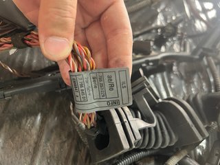 Cableado BMW E60 530d m57 306d2 218cv