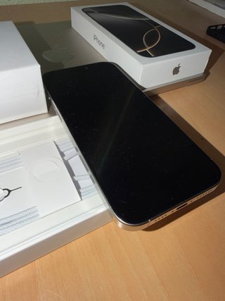 iPhone 16 Pro Max Plata